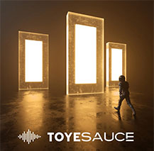 Toyesauce - Toyesauce